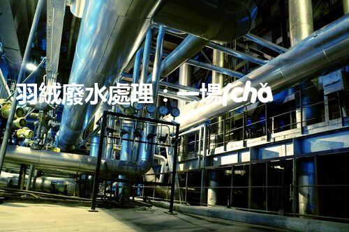 羽絨廢水處理：一場(chǎng)綠色環(huán)保的羽毛盛宴？